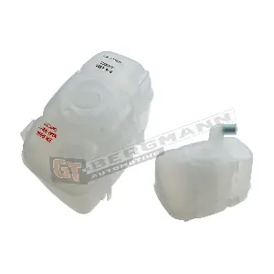GT15-001 GT-BERGMANN