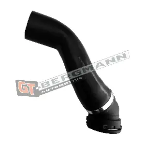 GT52-708 GT-BERGMANN