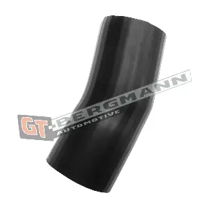 GT52-638 GT-BERGMANN