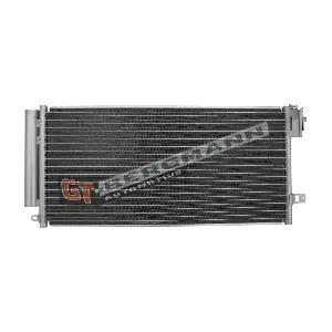 GT11-077 GT-BERGMANN