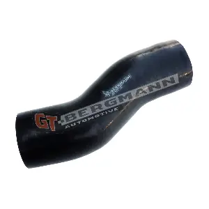 GT52-261 GT-BERGMANN