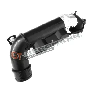 GT52-252 GT-BERGMANN