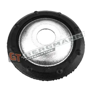 GT25-040 GT-BERGMANN