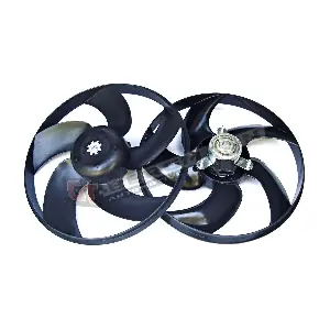 GT13-007 GT-BERGMANN