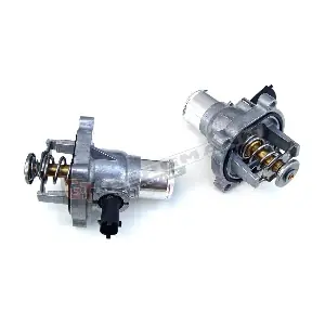 GT17-008 GT-BERGMANN