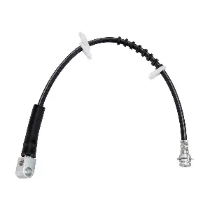 LR061010 Albro