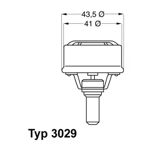 3029.89 BorgWarner (Wahler)