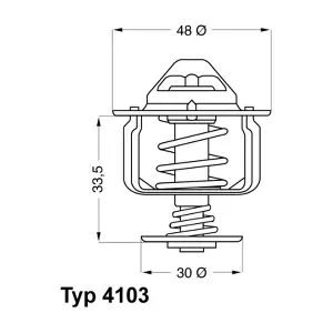 4103.82D BorgWarner (Wahler)