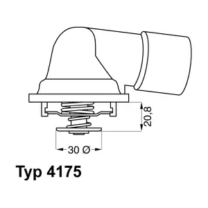 4175.92D BorgWarner (Wahler)