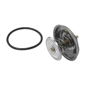 4112.79D BorgWarner (Wahler)