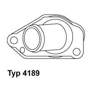 4189.87D BorgWarner (Wahler)