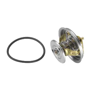 4078.79D BorgWarner (Wahler)