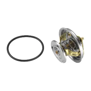 4078.92D BorgWarner (Wahler)