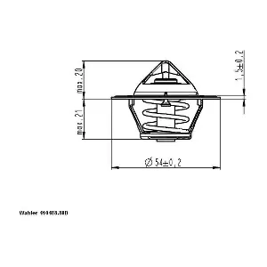 41048888D BorgWarner (Wahler)