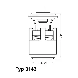 314387D BorgWarner (Wahler)