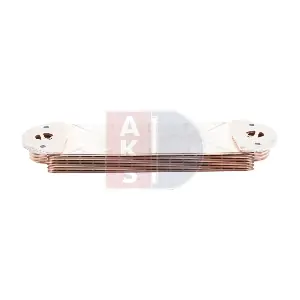 286007X AKS DASIS