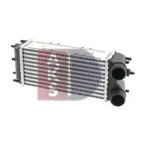 097025N AKS DASIS