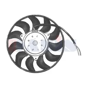 048125N AKS DASIS