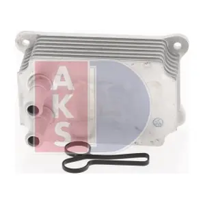 096008N AKS DASIS