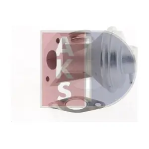 065017N AKS DASIS