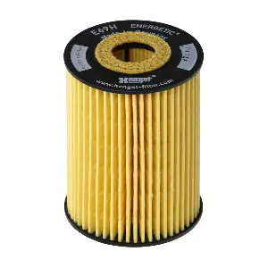 E69H D81 HENGST FILTER