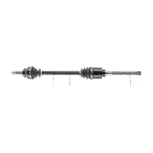 FDS2193 FRIESEN