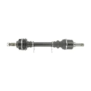 FDS1195 FRIESEN