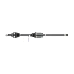 FDS3797 FRIESEN