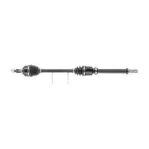 FDS2519 FRIESEN