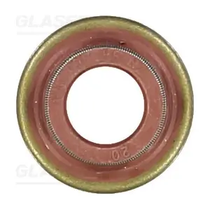 P76788-00 GLASER