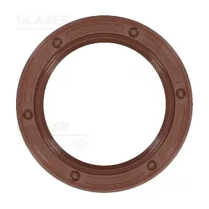 P77630-01 GLASER