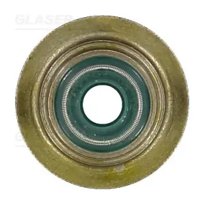 P76721-00 GLASER