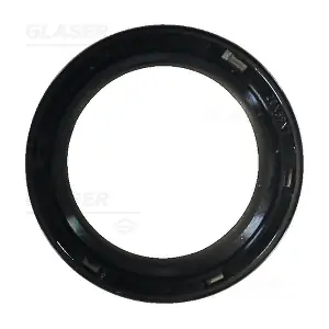 P77840-01 GLASER