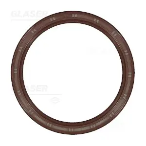 P77530-01 GLASER