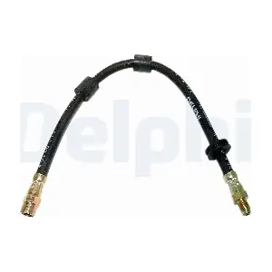 LH0218 DELPHI