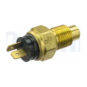 TS10507 DELPHI