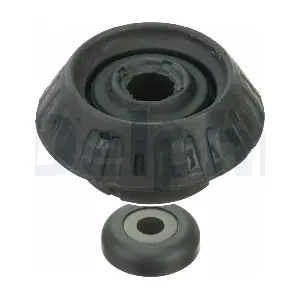 BSJ10110 DELPHI