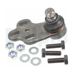 TC503 DELPHI