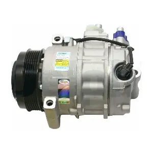 CS20090 DELPHI