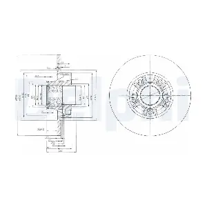BG9031RS DELPHI