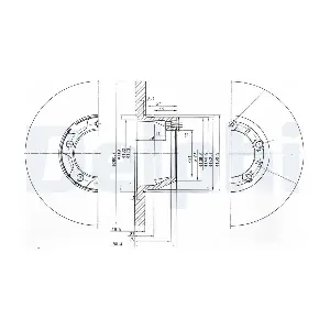 BG2163 DELPHI