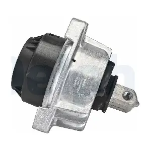 TEM255 DELPHI