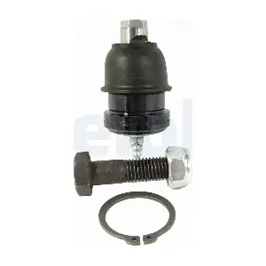 TC1648 DELPHI