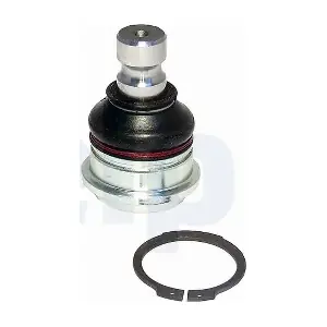 TC1559 DELPHI