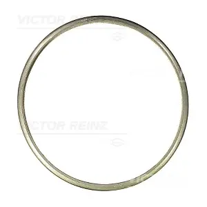71-41329-00 VICTOR REINZ