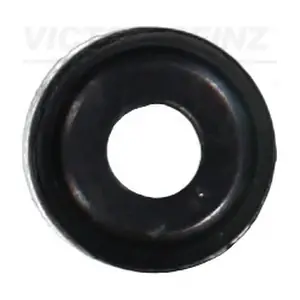 702516900 VICTOR REINZ