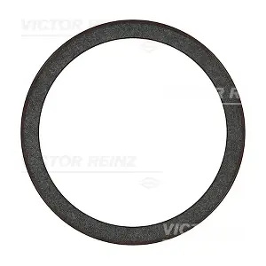 81-36602-00 VICTOR REINZ