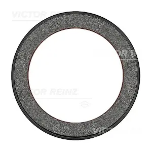 81-21527-30 VICTOR REINZ