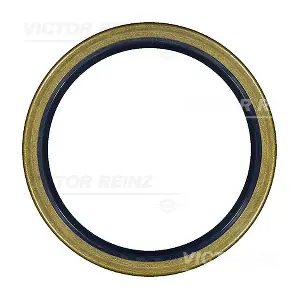 81-35091-00 VICTOR REINZ