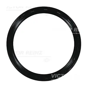 81-10396-00 VICTOR REINZ